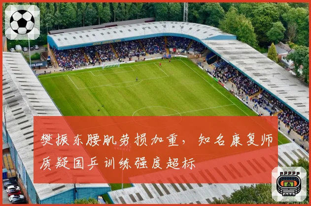 樊振东腰肌劳损加重,知名康复师质疑国乒训练强度超标