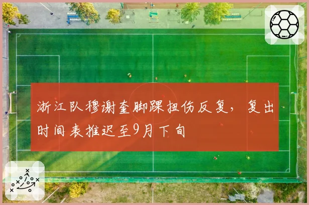 浙江队穆谢奎脚踝扭伤反复,复出时间表推迟至9月下旬